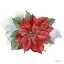 Picture of WINTER POINSETTA I