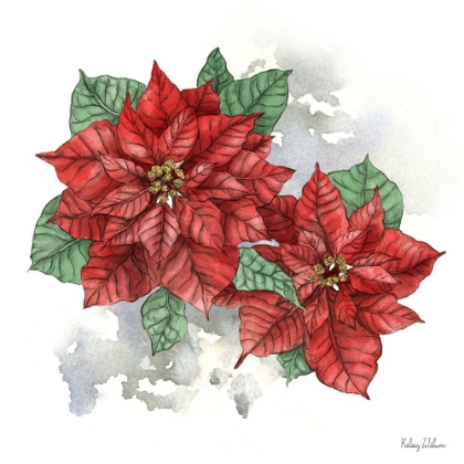 Picture of WINTER POINSETTA II