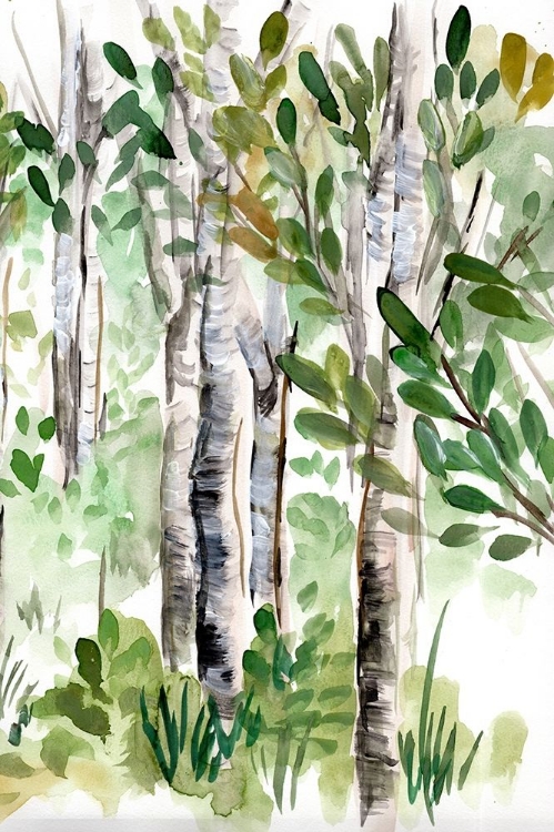 Picture of BIRCH FOREST II