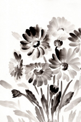 Picture of SIMPLE BLACK DAISIES