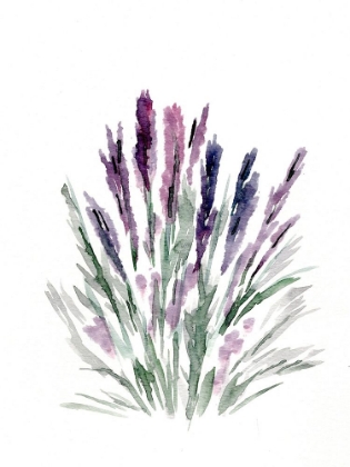 Picture of LAVENDER