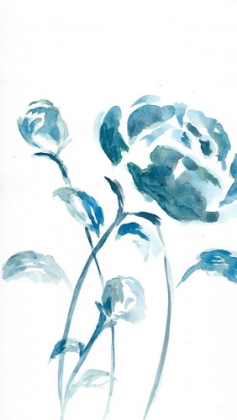 Picture of BLUE PEONIES II