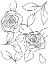 Picture of HAND SKETCH ROSES I