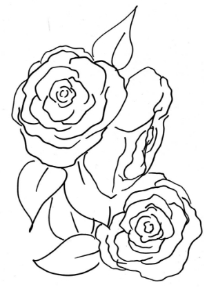 Picture of HAND SKETCH ROSES II