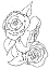 Picture of HAND SKETCH ROSES II