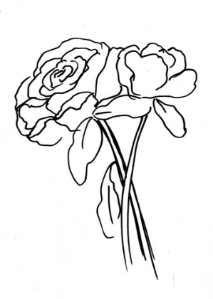 Picture of HAND SKETCH ROSES III