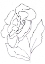 Picture of HAND SKETCH MAGNOLIA II