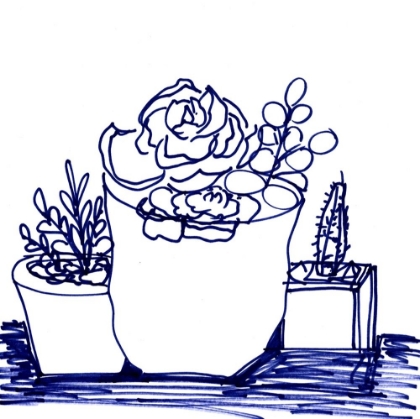 Picture of HAND SKETCH SUCCULENTS BLUE