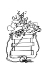 Picture of HAND SKETCH HANGING SUCCULENTS BLACK