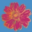 Picture of FLOWER POP ART I