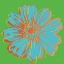 Picture of FLOWER POP ART II