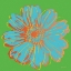 Picture of FLOWER POP ART II