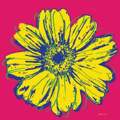Picture of FLOWER POP ART IV