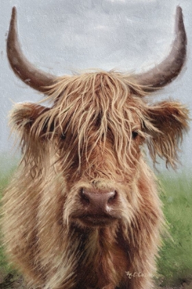 Picture of HIGHLAND PORTRAIT II
