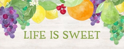Picture of LIFE IS SWEET SENTIMENT PANEL II-LIFE