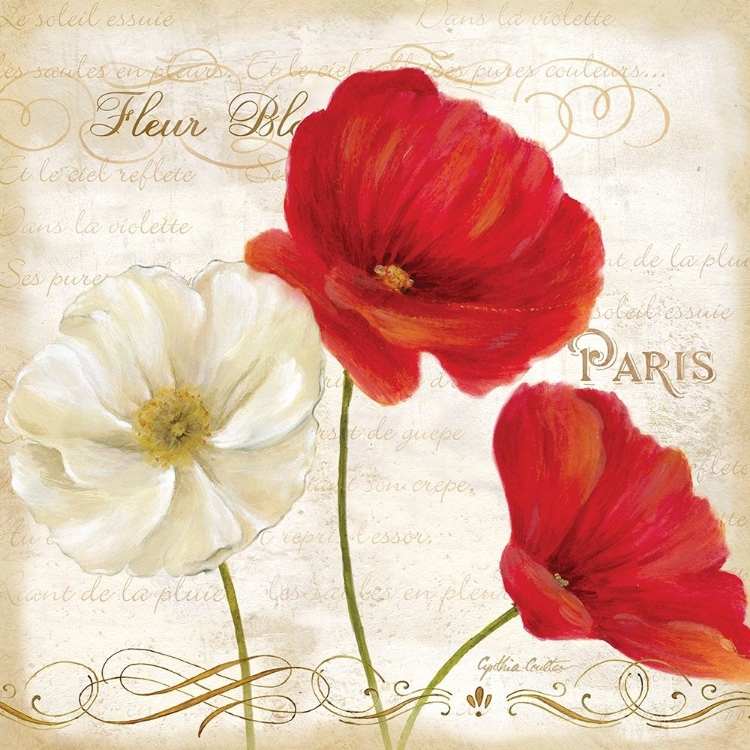 Picture of PARIS POPPIES I