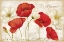 Picture of PARIS POPPIES LANDCAPE