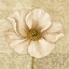 Picture of SOFT BLOOM I