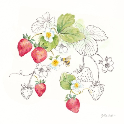 Picture of BERRIES AND BEES II