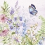 Picture of BUTTERFLY  TRAIL II