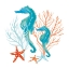 Picture of CORAL AQUA XII