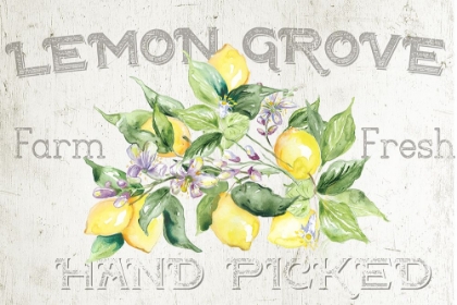 Picture of LEMON  GROVE I