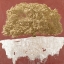 Picture of GOLDEN TREE ON RED