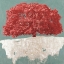 Picture of RED TREE ON AQUA