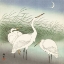 Picture of HERONS IN SHALLOW WATER