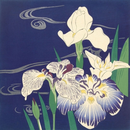 Picture of IRISES ON THE WATER