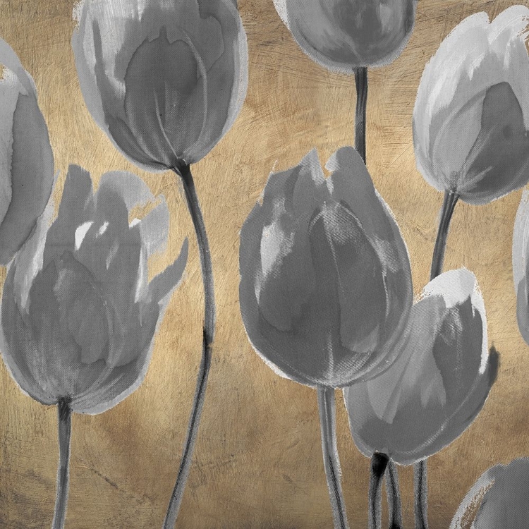 Picture of GREY TULIPS I
