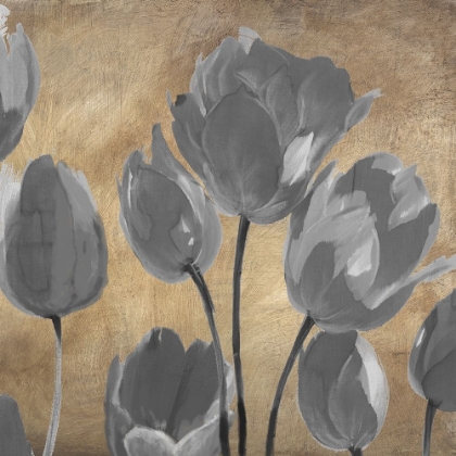 Picture of GREY TULIPS II