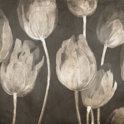 Picture of WASHED TULIPS I