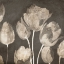 Picture of WASHED TULIPS II