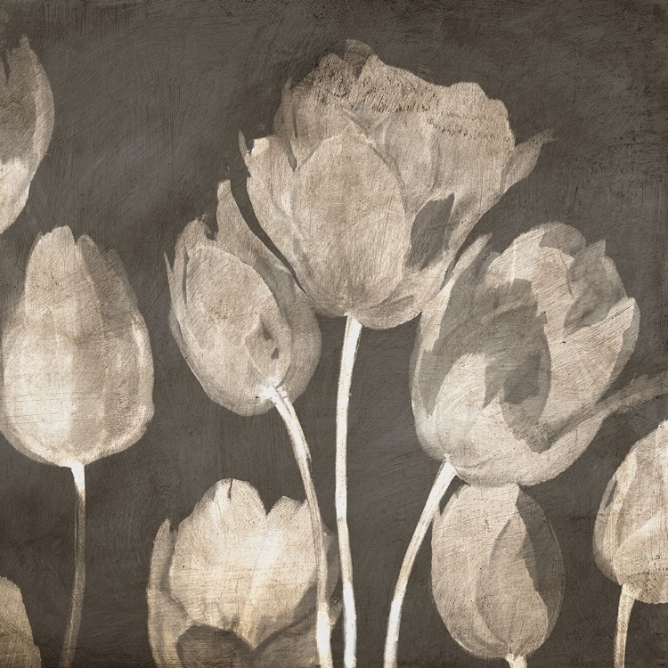 Picture of WASHED TULIPS II
