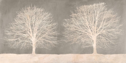 Picture of TREES ON GREY