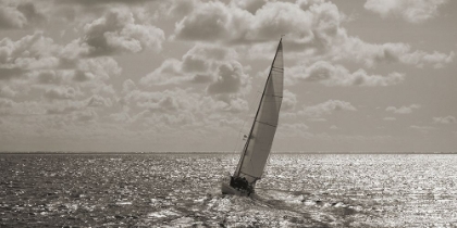 Picture of SAILING (DETAIL)