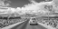 Picture of WANDERING IN THE USA