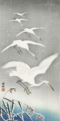 Picture of DESCENDING EGRETS IN SNOW