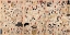 Picture of CATS SUGGESTED AS THE FIFTY-THREE STATIONS OF THE TOKAIDO