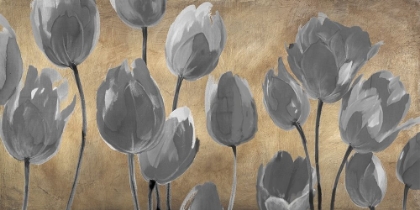 Picture of GREY TULIPS