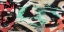 Picture of FRAGMENTED SPRINGTIME