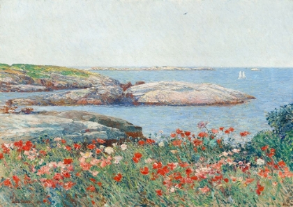 Picture of POPPIES- ISLES OF SHOALS