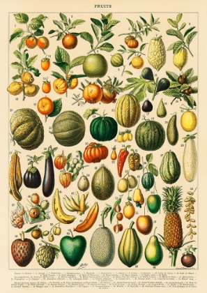 Picture of FRUITS AND VEGETABLES