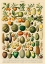 Picture of FRUITS AND VEGETABLES