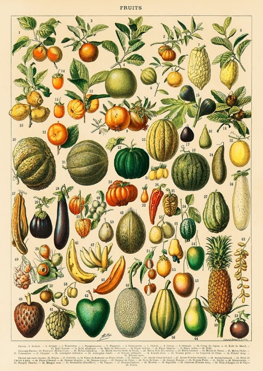 Picture of FRUITS AND VEGETABLES
