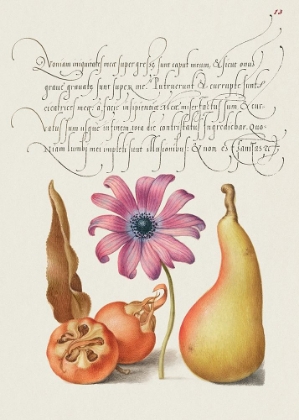 Picture of FROM THE MODEL BOOK OF CALLIGRAPHY-VIII