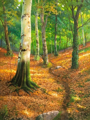 Picture of SENTIERO NEL BOSCO