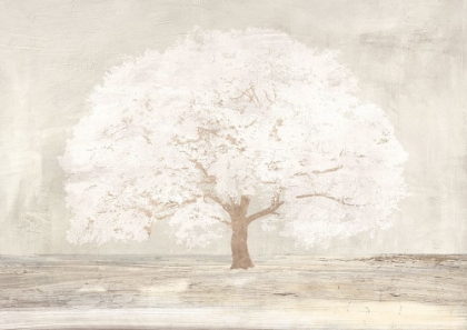 Picture of PALE TREE