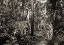 Picture of BENGAL TIGERS (BW)